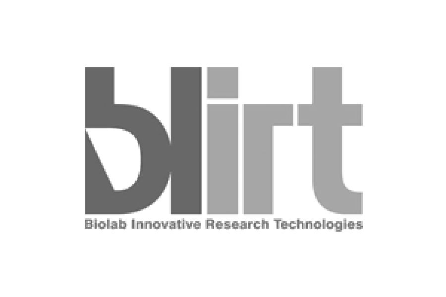 logo klienta blirt