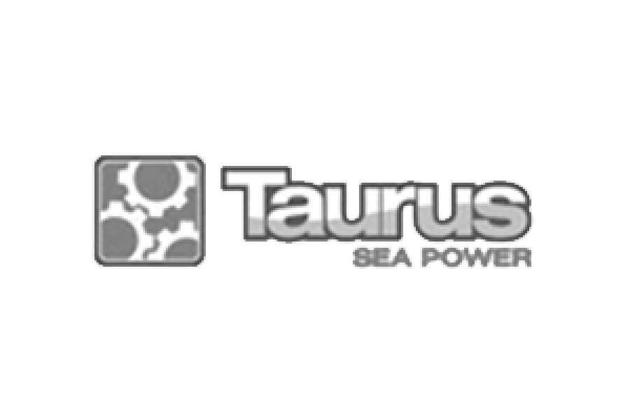 logo klienta taurus